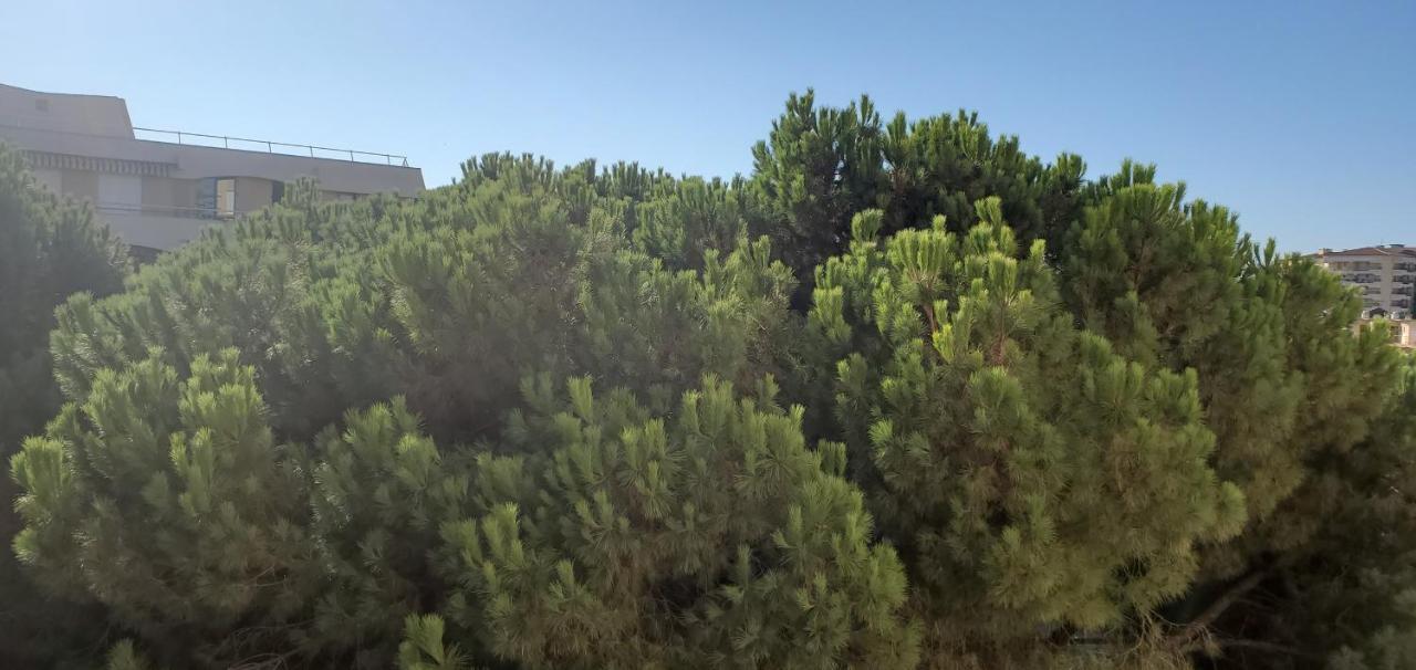 Frejus Plage La Miougrano, T2-3 49M2, 5 Personn Eksteriør billede